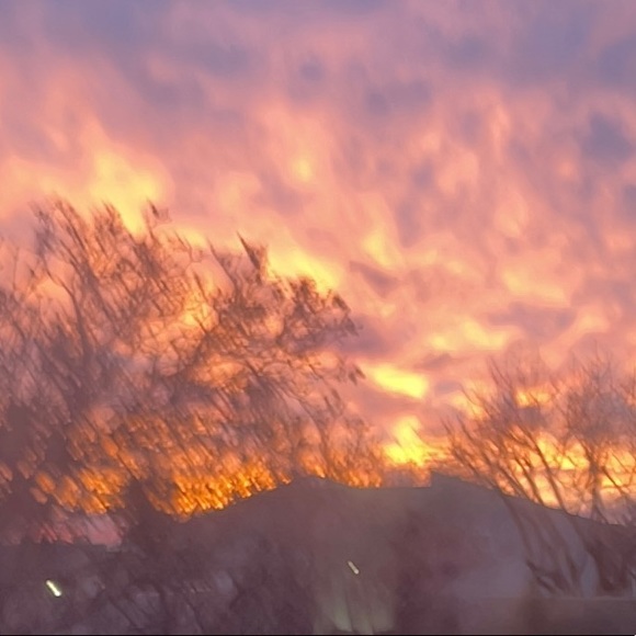 Meet your Posher, Mylee - Picture 1 of 1